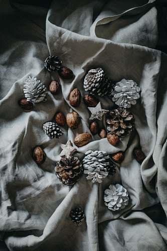 pine cone pinecone and nut on top of blanket decor
